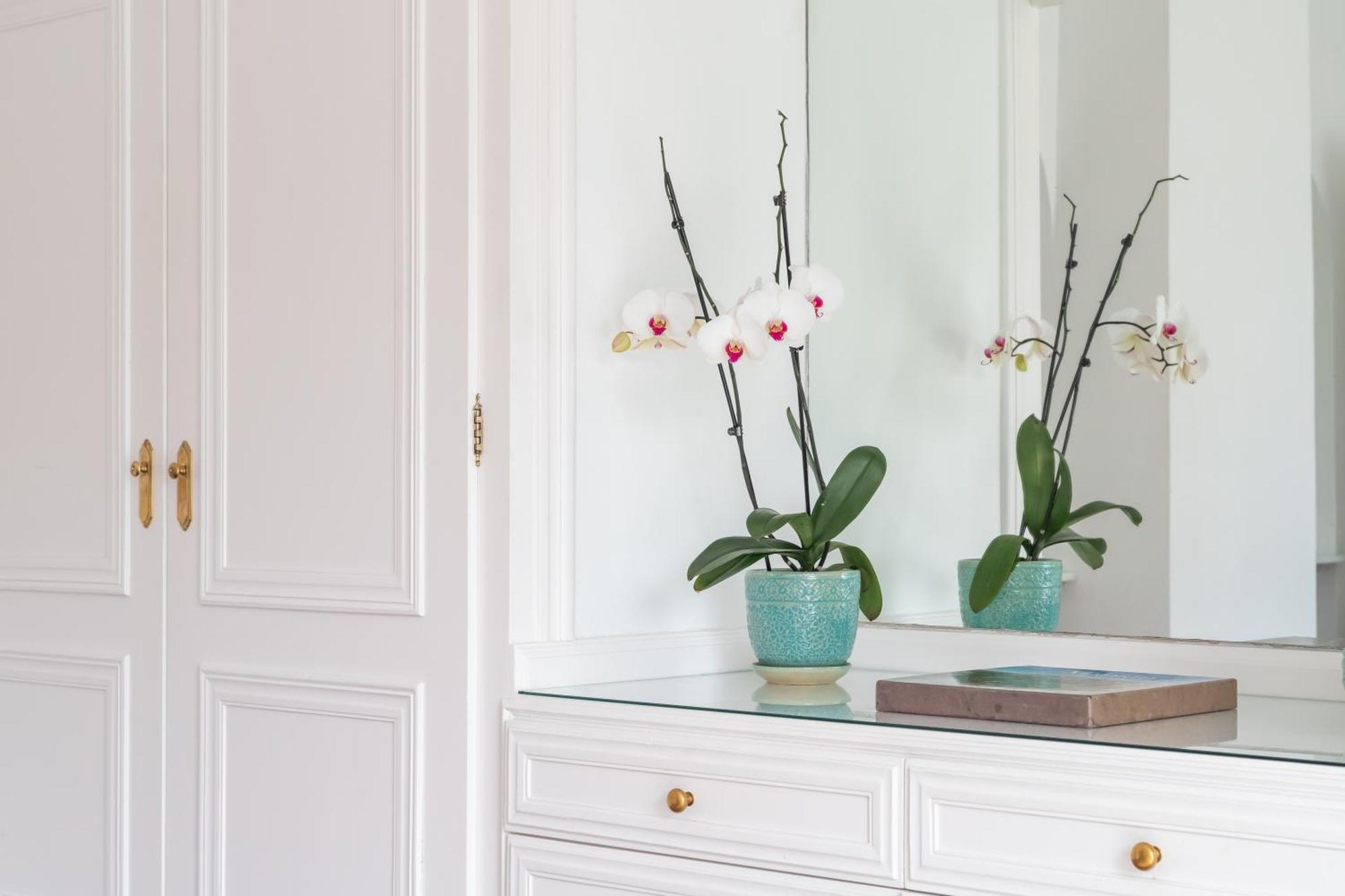 マルベーリャ Aurora Boutique House - Only Adults Bed & Breakfast エクステリア 写真